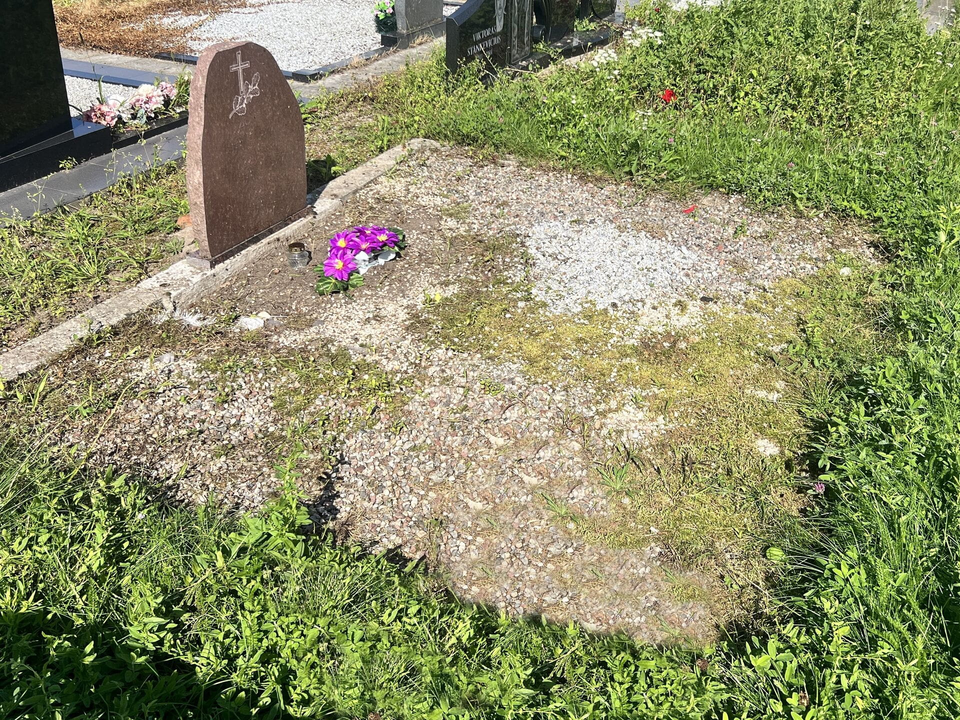 Kapaviečių priežiūra